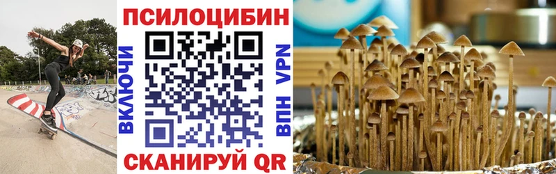 Псилоцибиновые грибы Magic Shrooms  Иваново 