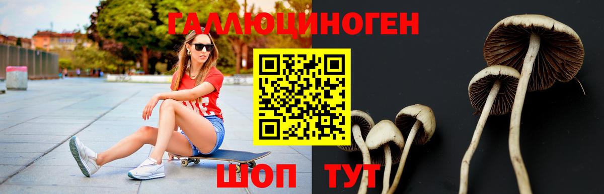 Иваново  Псилоцибиновые грибы мухоморы  Вход с VPN 